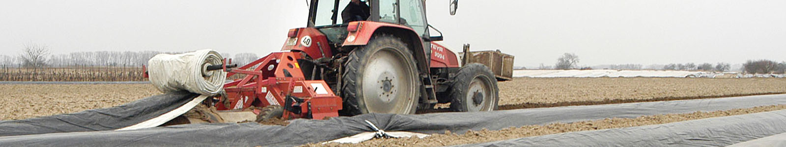 Traktor bringt Folie auf Spargelreihen aus ©DLR